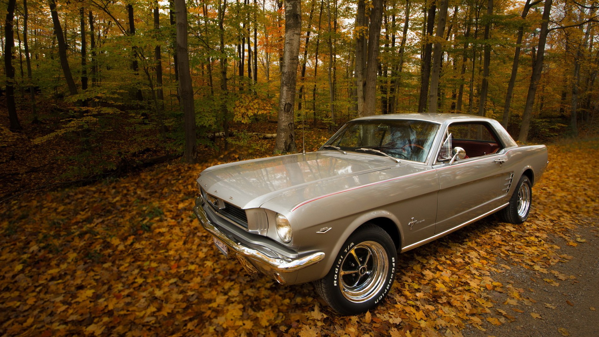 1966 ford mustang automne route