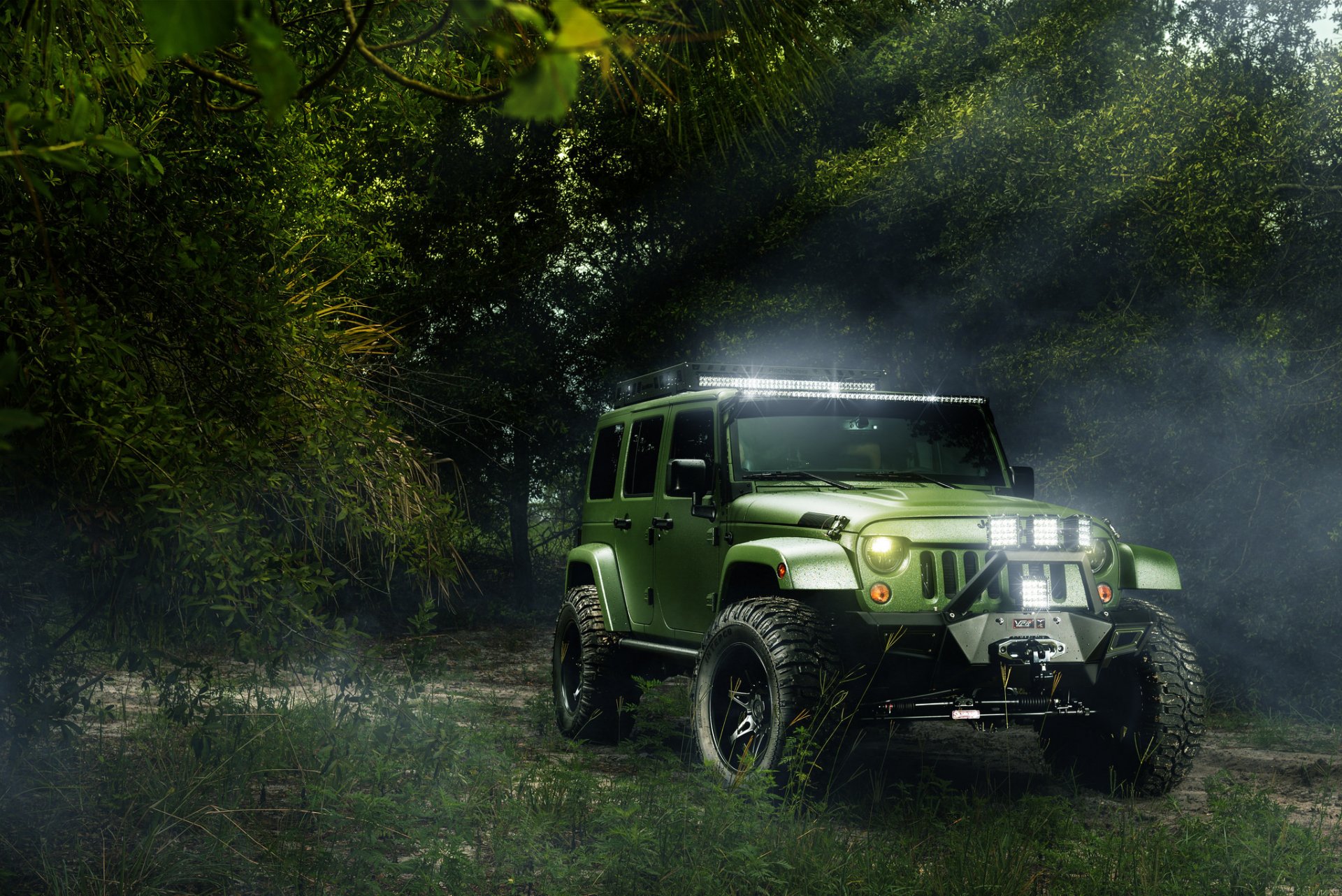 jeep green forest