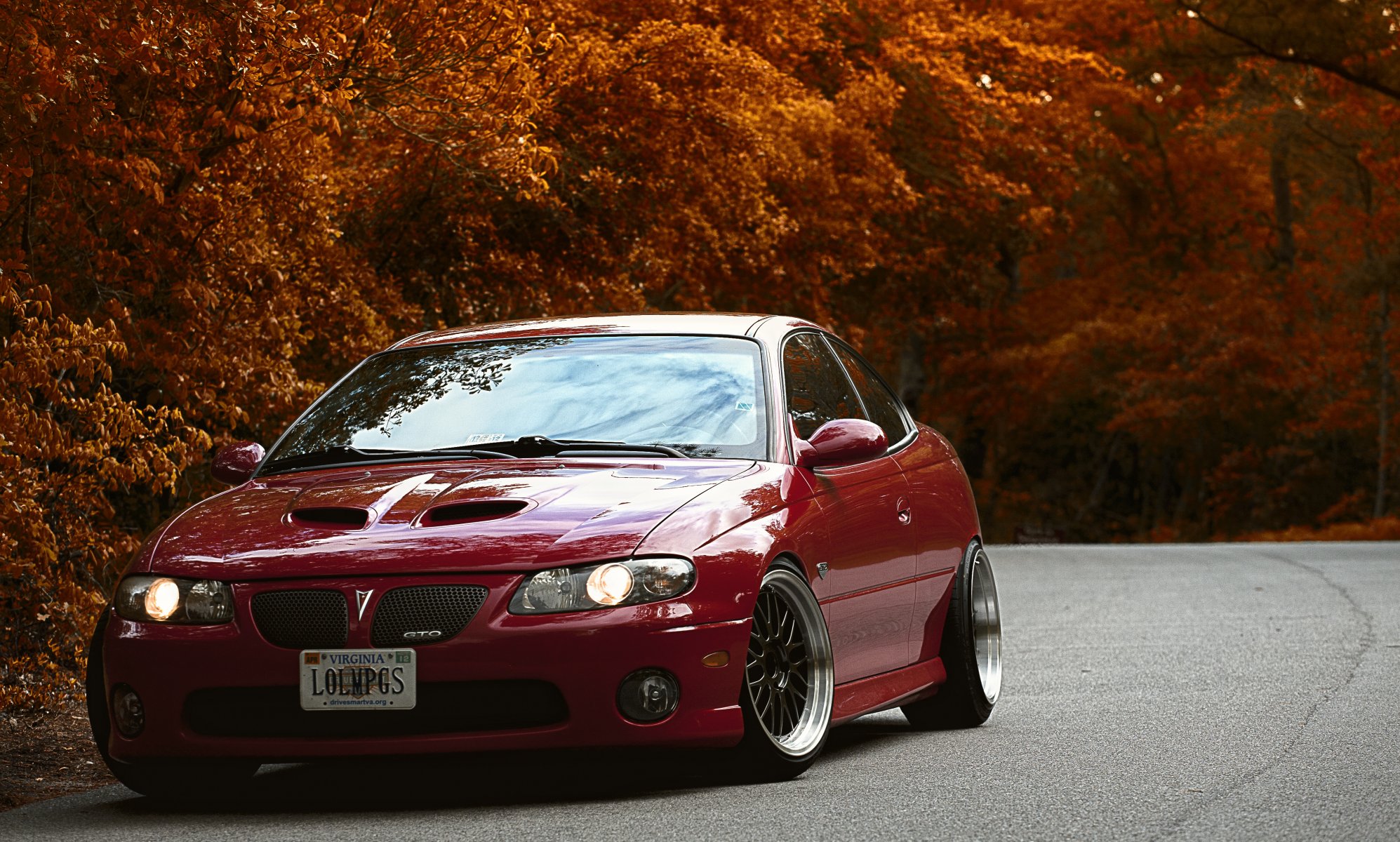 pontiac gto pontiac rot tuning herbst bäume straße