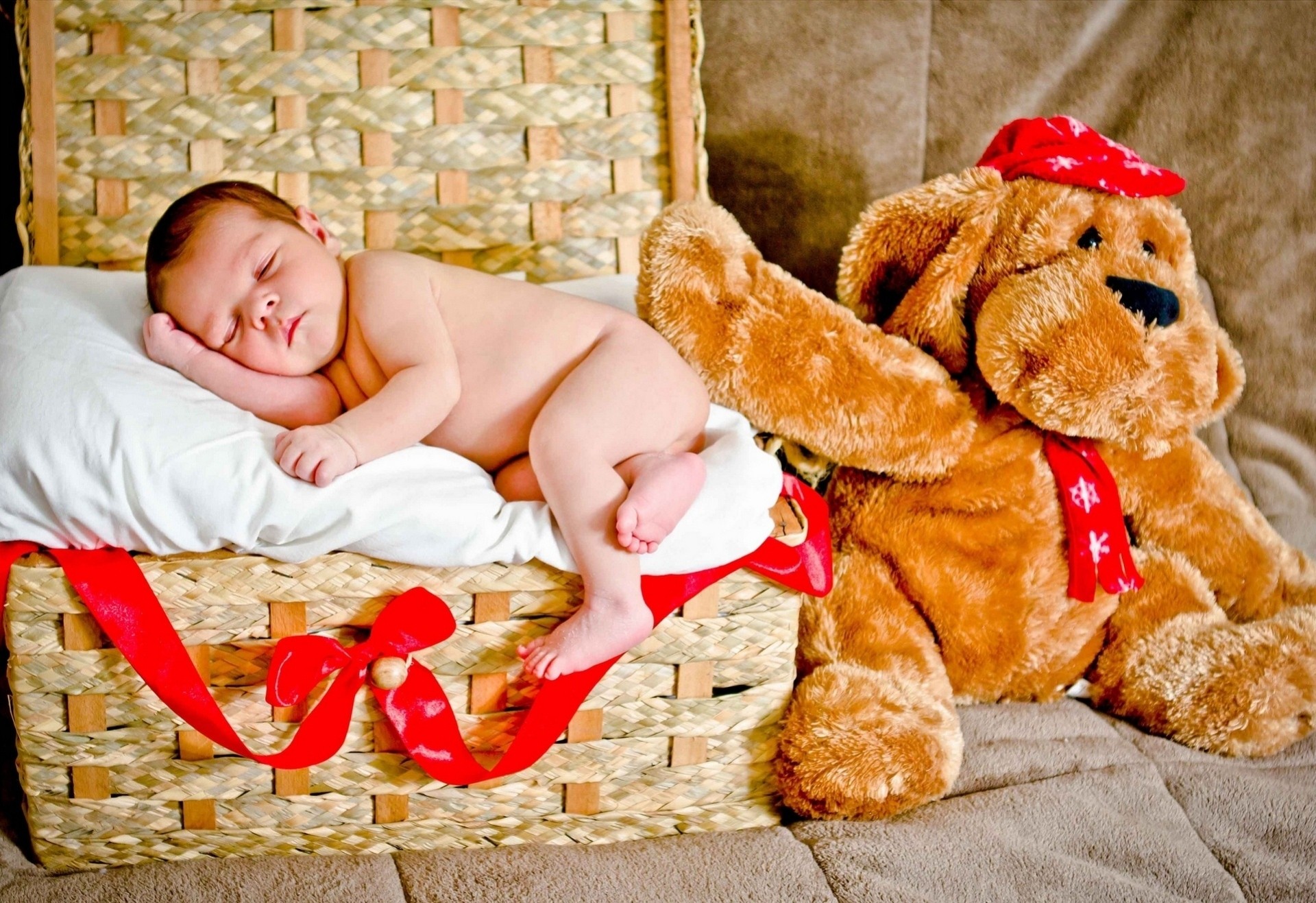 chien caisse jouets enfant