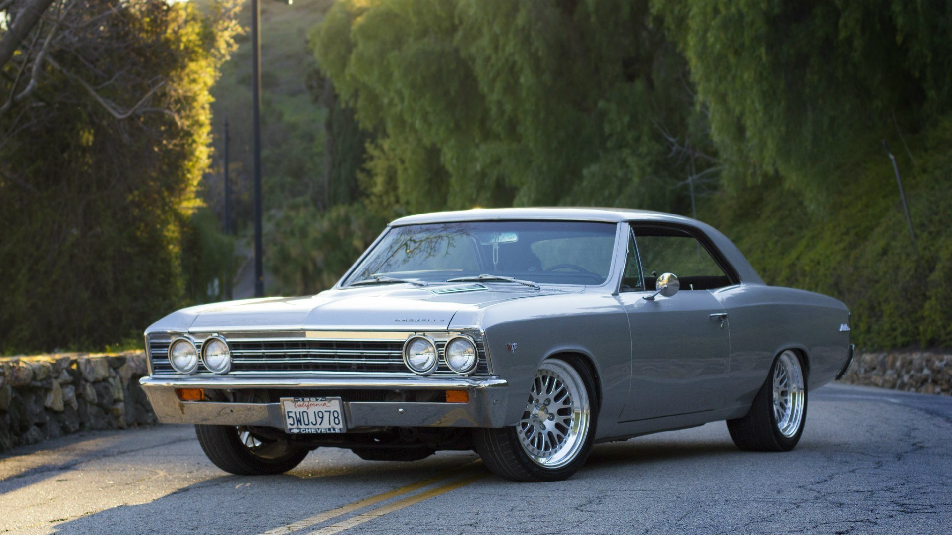 chevrolet chevelle malibu 1967 grau coupe chevrolet chevelle seitenansicht straße wald