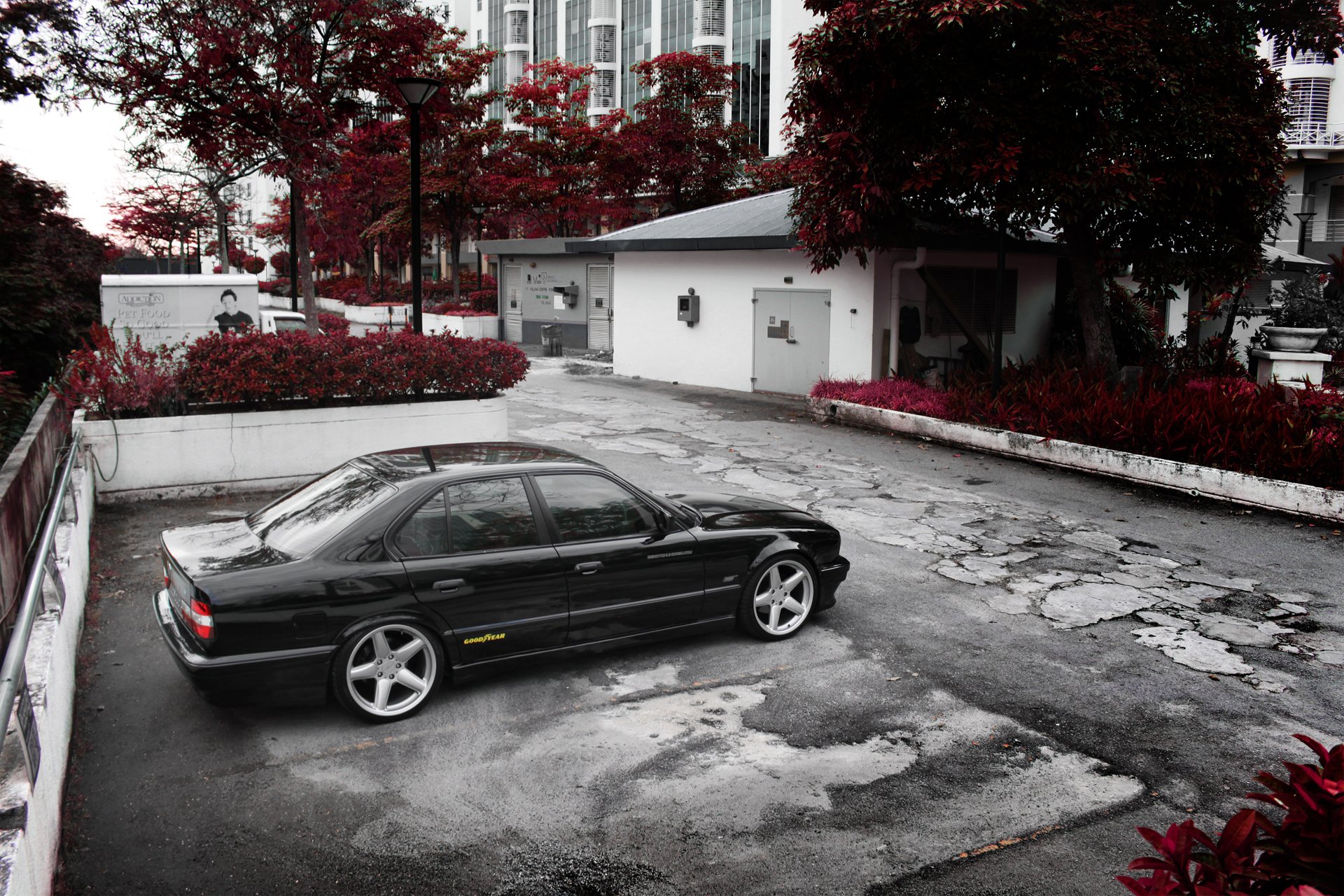 bmw e34 bmw car yard