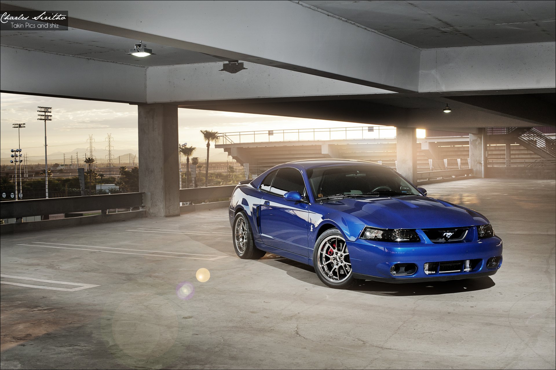 charles siritho coche auto ford cobra svt terminator mustang unidades