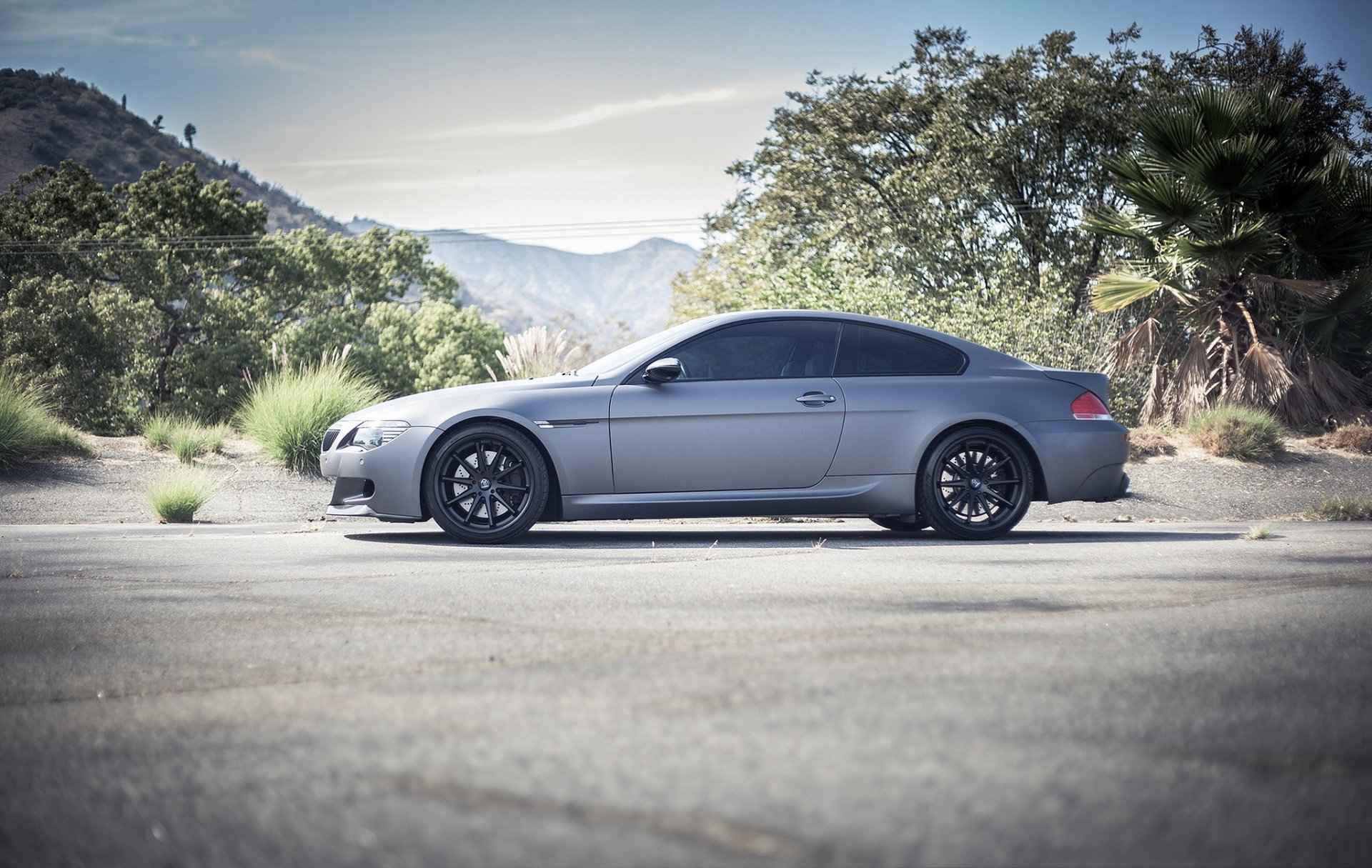 bmw m6 e63 matowy szary koła czarny bmw coupe profil czarne felgi drzewa