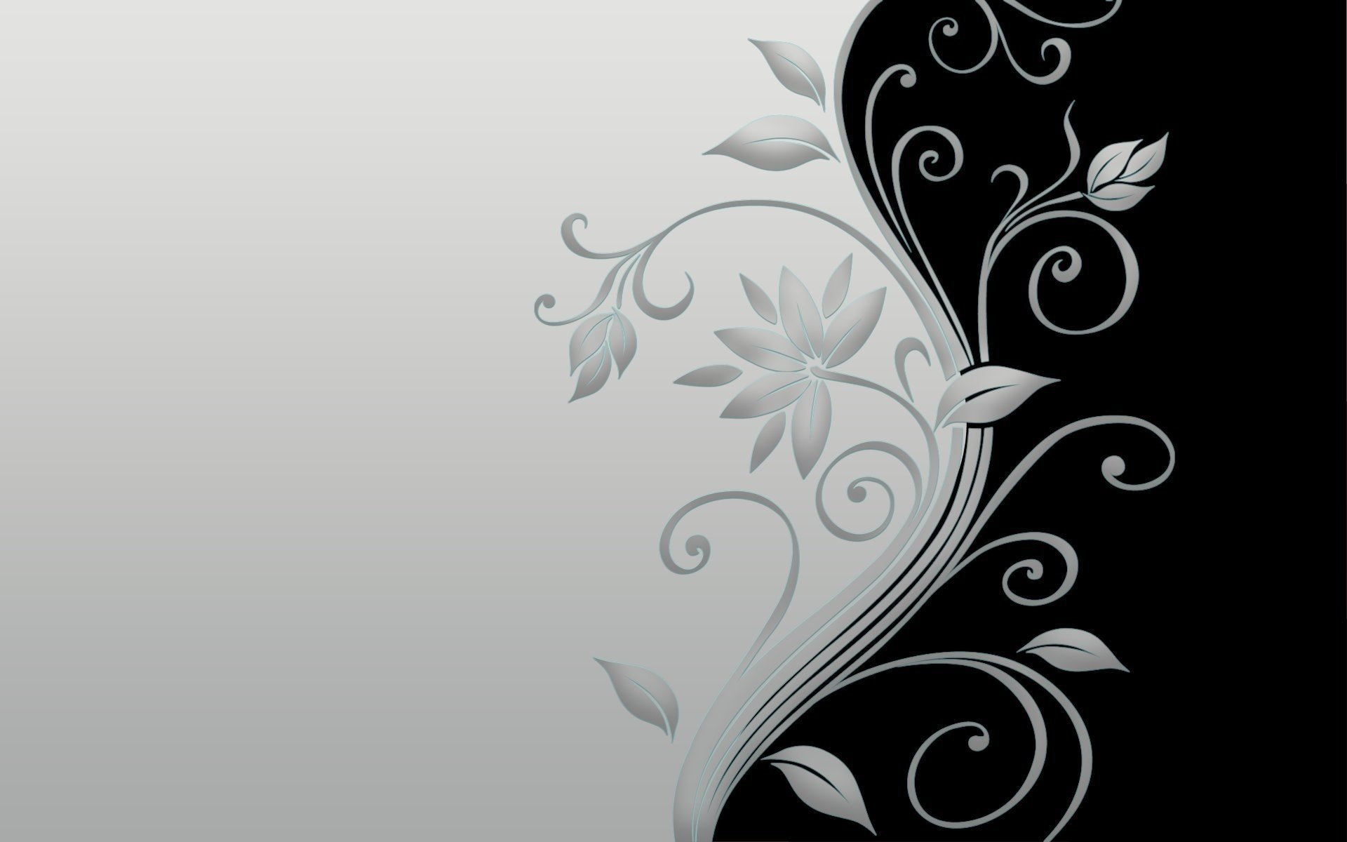 flower blossom black grey minimal