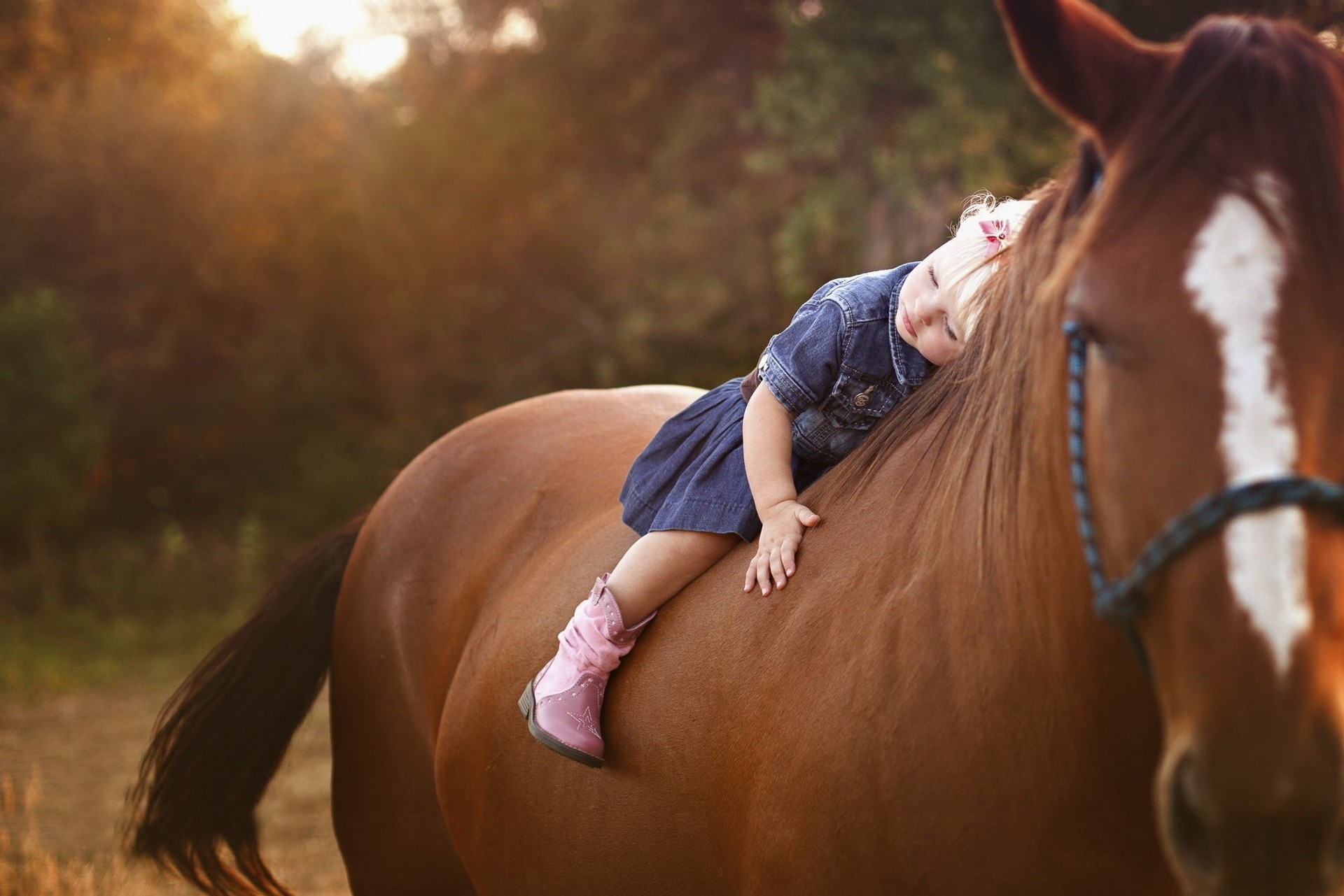positive riding girl nature horse child friend
