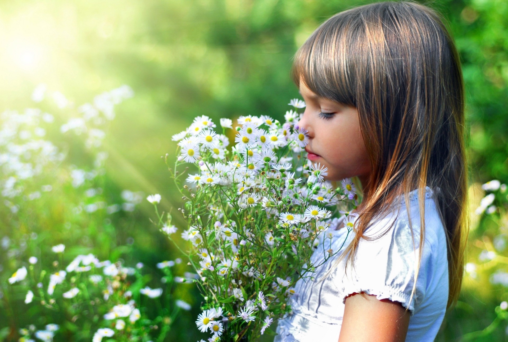 raggi luce ragazza fiori