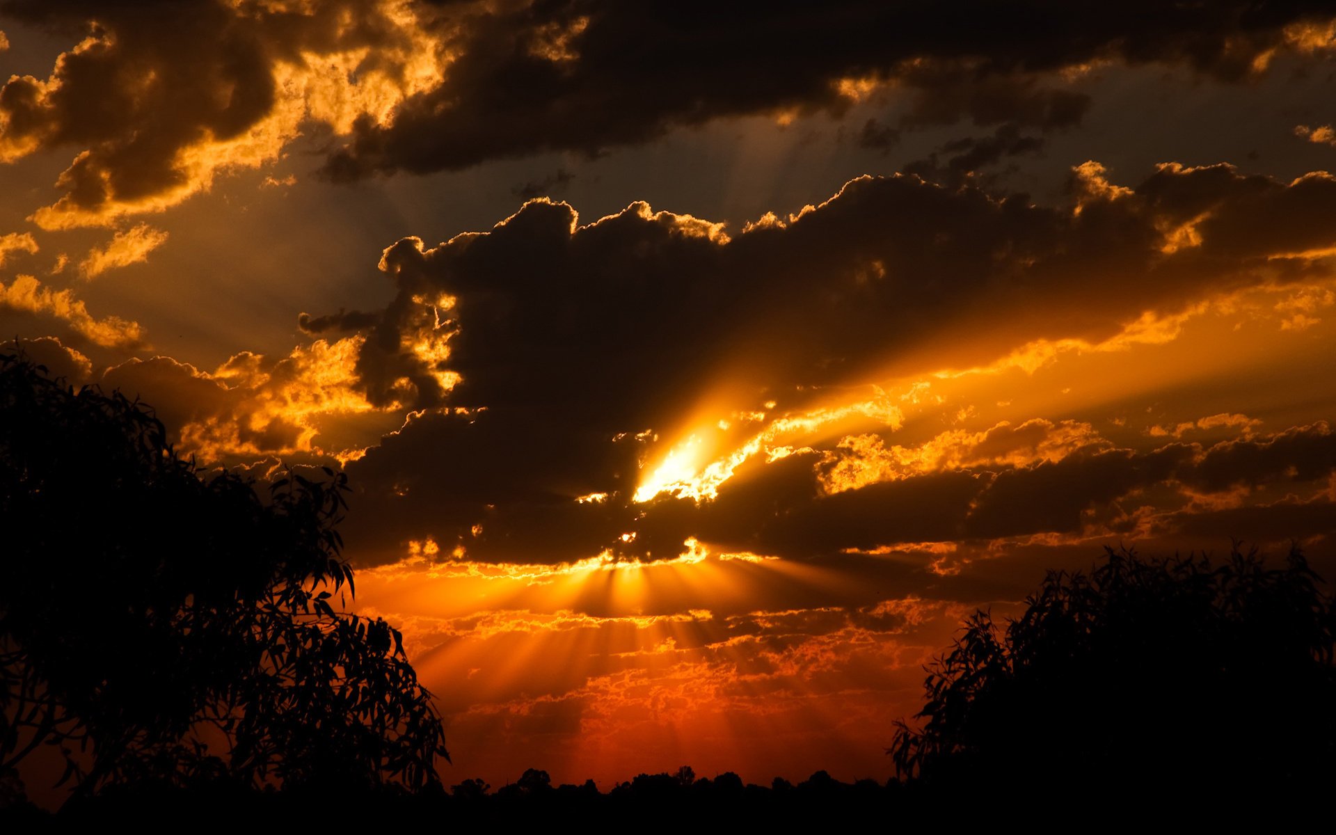 unset the sun clouds view forest shadow