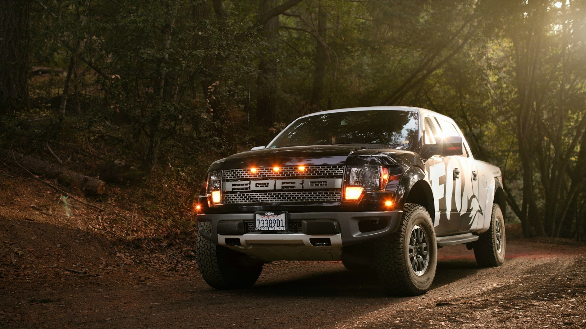 ford f-150 raptor forêt feuilles lumières