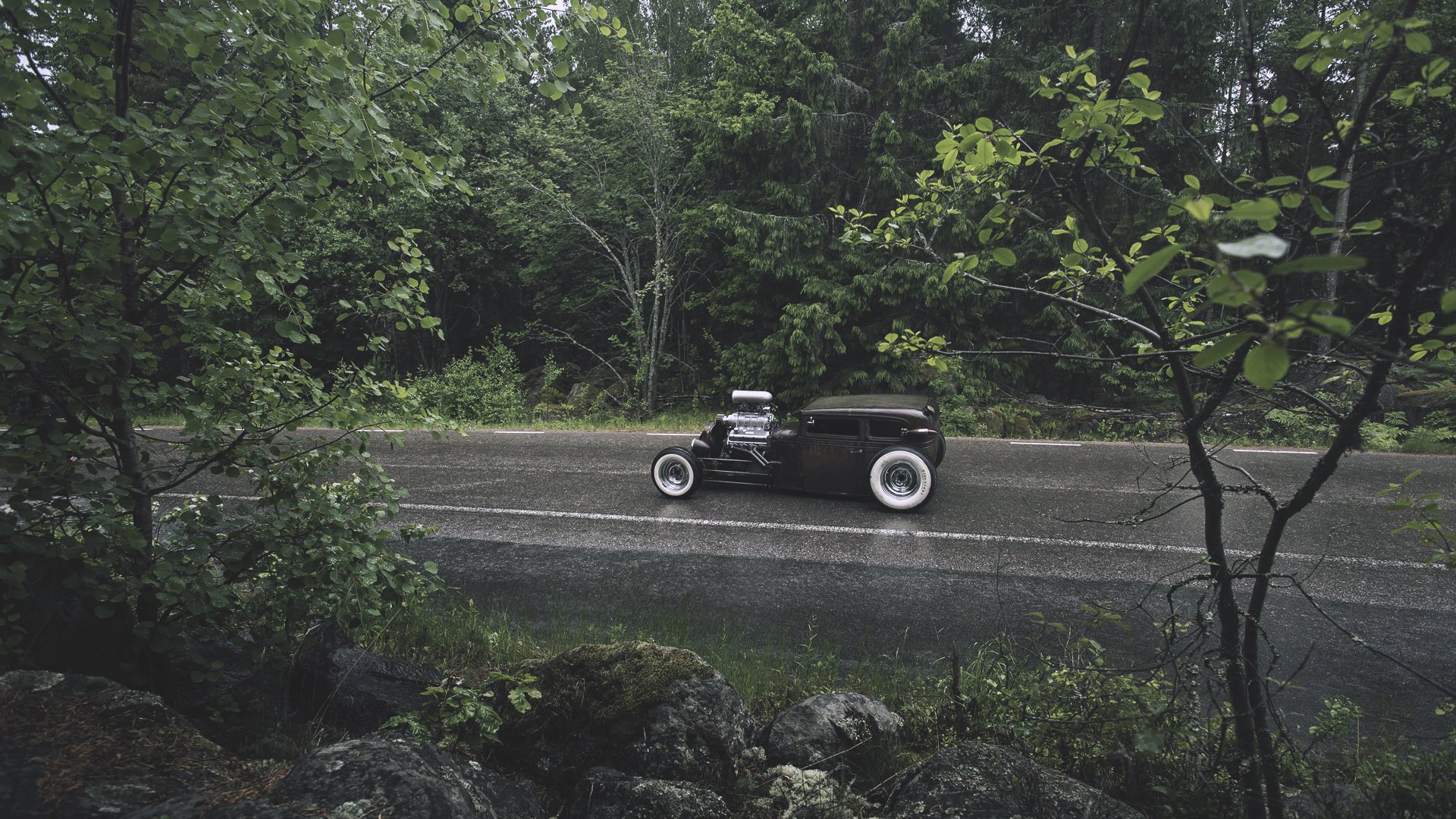ford ratas tronco moho bosque lluvia rata rod