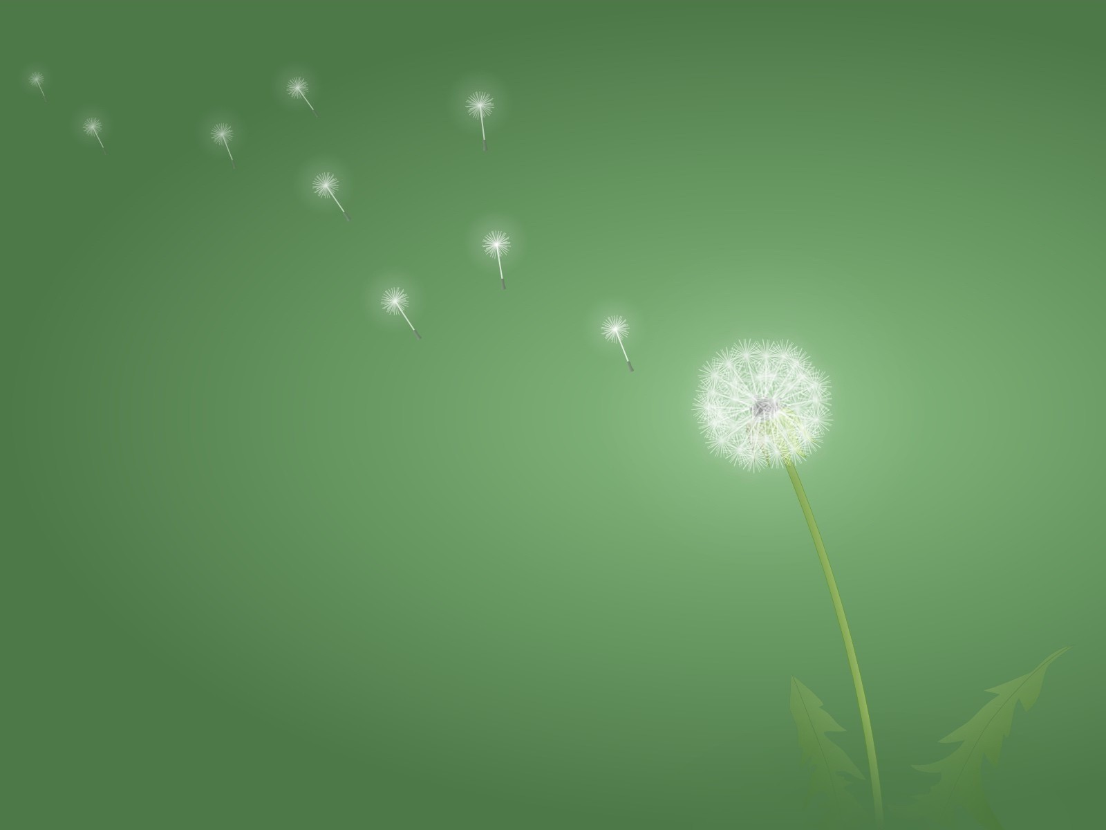 diente de león minimalismo verde