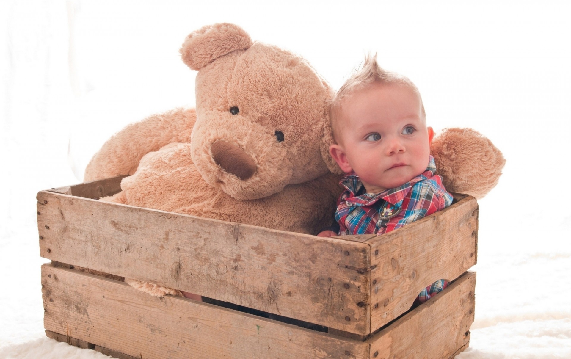 garçon jouets tiroir ours en peluche haer enfant