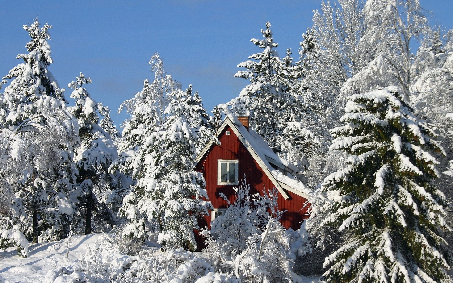 zama wald schnee haus fenster himmel bäume
