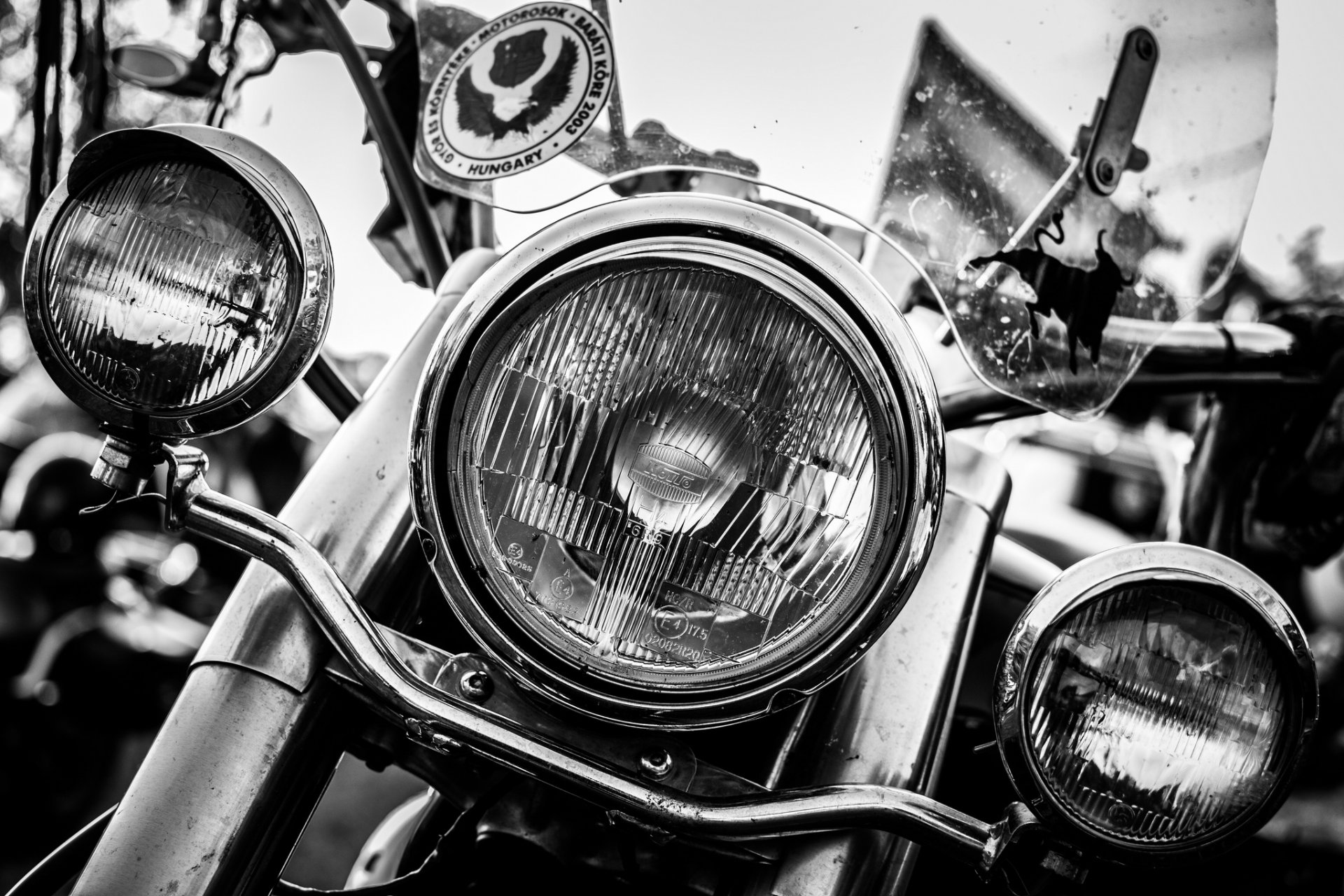 harley-davidson bianco nero