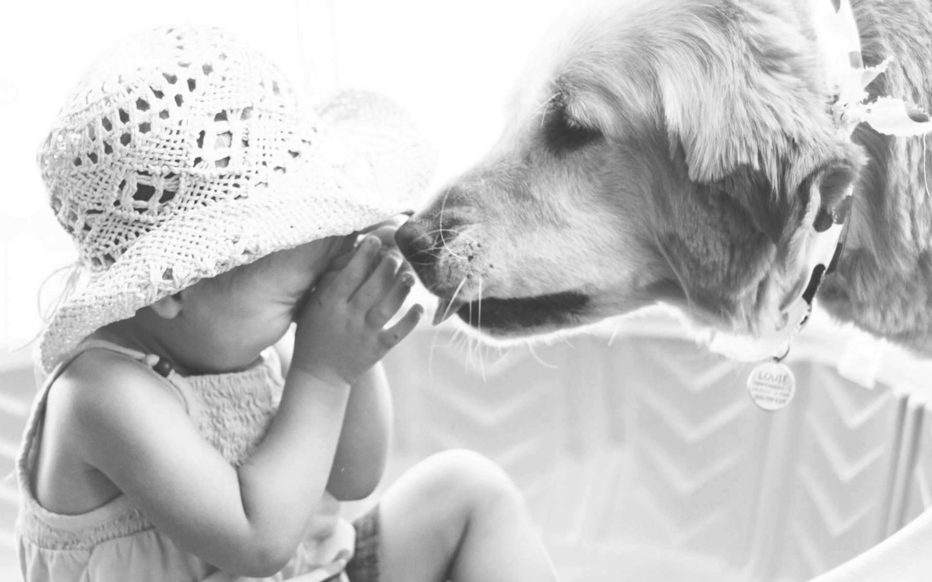 cane umore ragazza