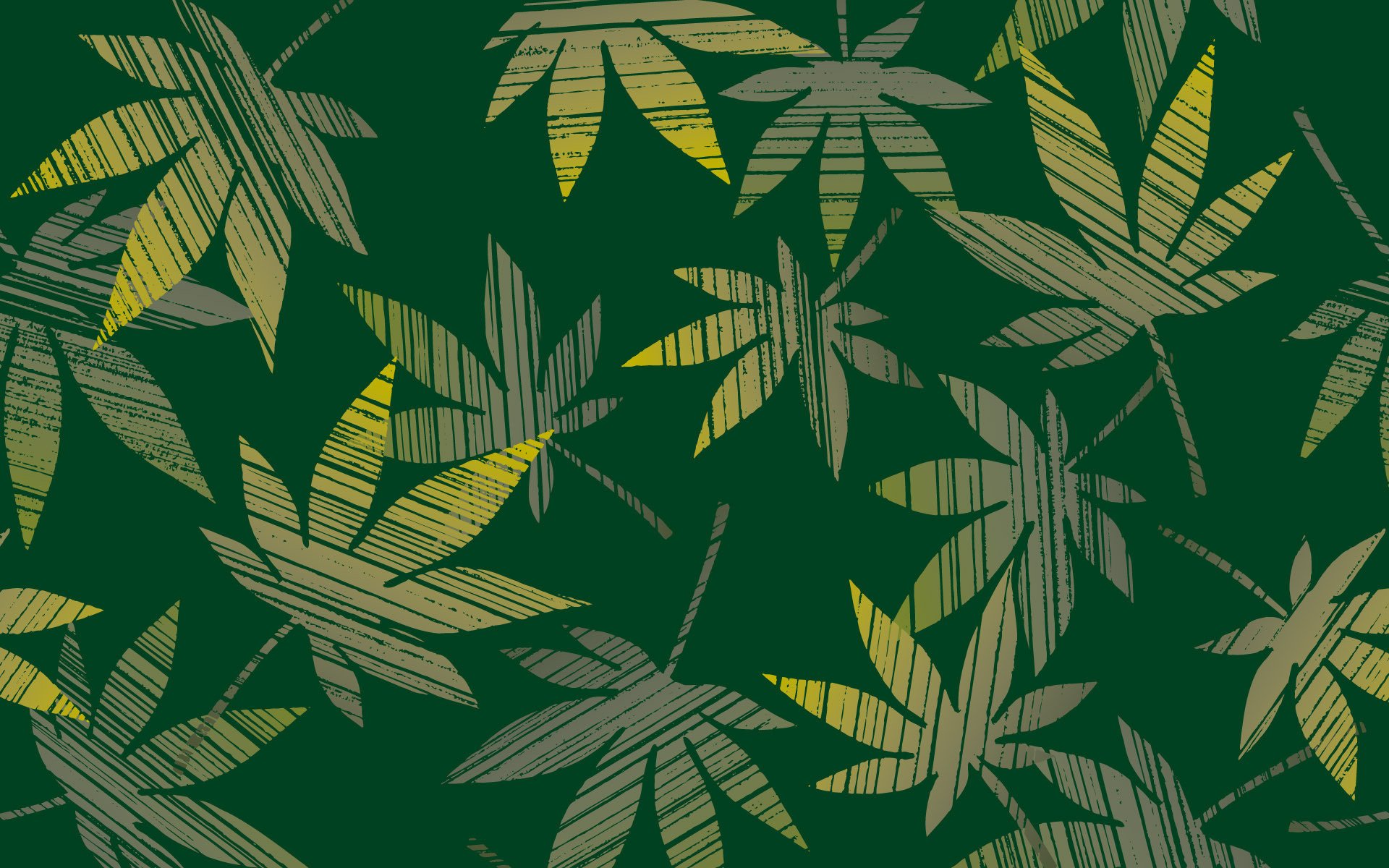 feuilles chanvre vert