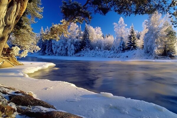 Meraviglioso e favoloso paesaggio invernale