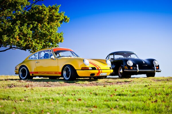 Zwei Autos der Marke Porsche im Hintergrund der Natur