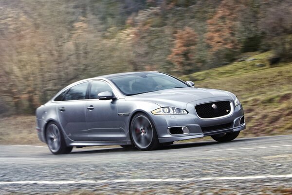 Coche marca Jaguar al costado de la carretera