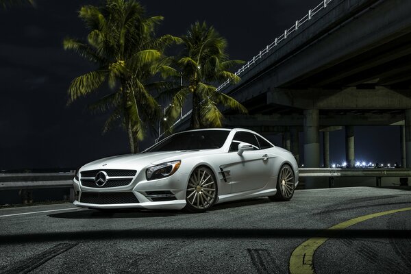 Weißer Mercedes auf einem Hintergrund von grünen Palmen