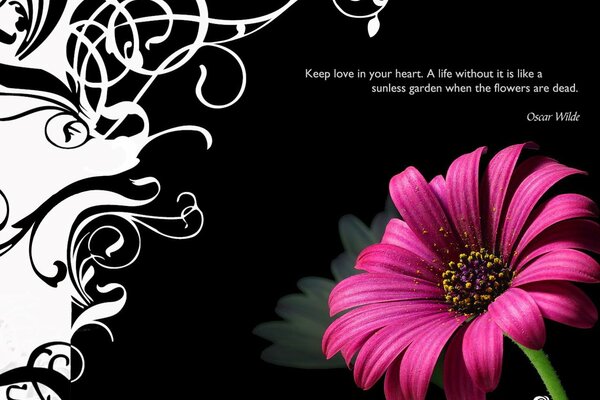 Belle fleur sur toile noir et blanc