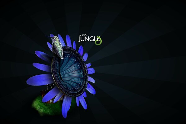 Gramophone - flower with a Jungle bird