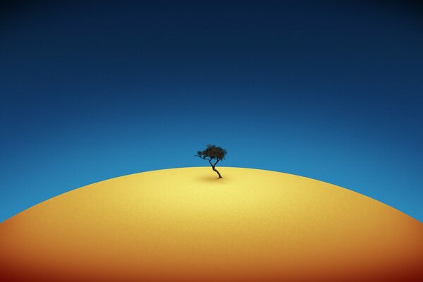 Kleiner Baum auf gelber Basis und blauem Hintergrund