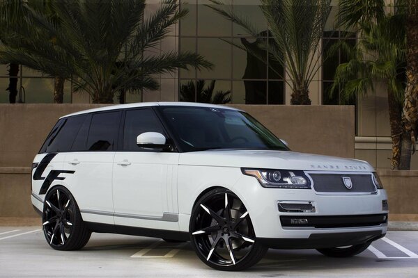 Biały Samochód marki Range Rover na tle palm