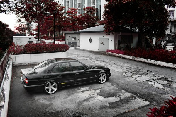 Car in the yard with a black and red filter