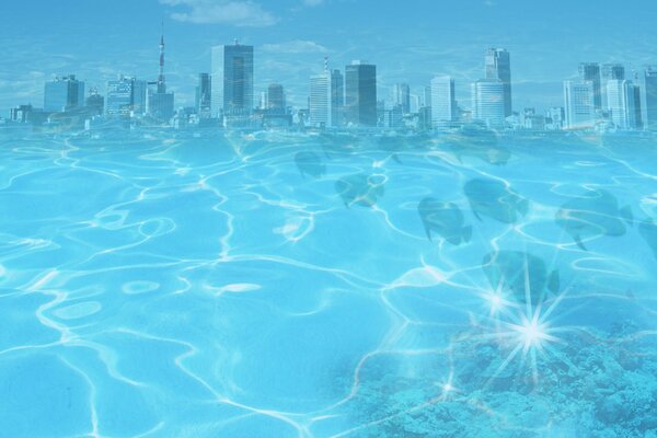 Reflection of water with fish and city view