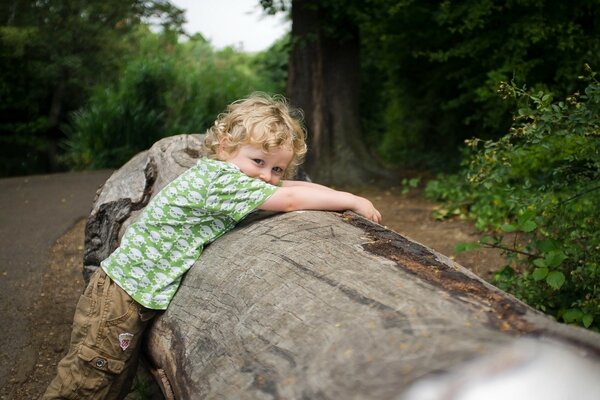 Blond boy hugs a tree