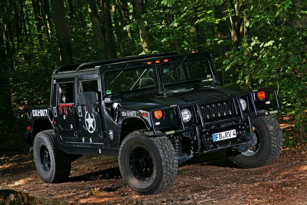 En el bosque olas hermoso coche negro