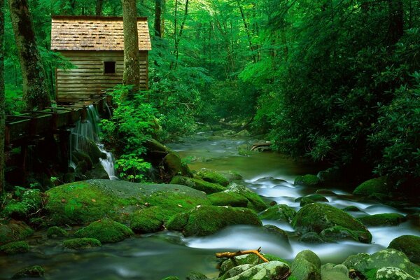 Casa en el bosque en la orilla del río