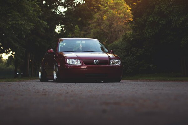 Cherry-colored Volkswagen Jetta on the road in the forest