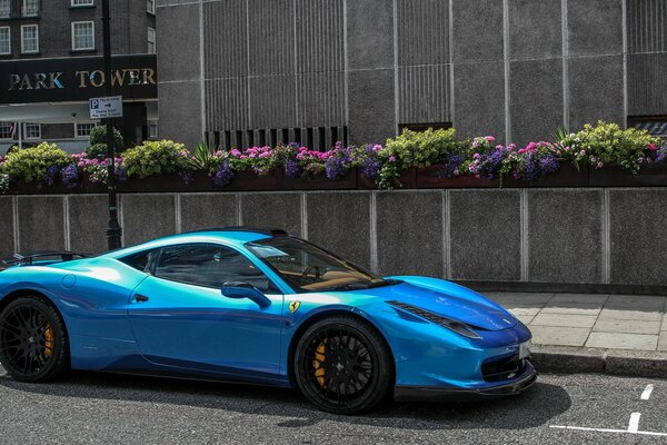 A bright blue sports car on the background of urban flower beds