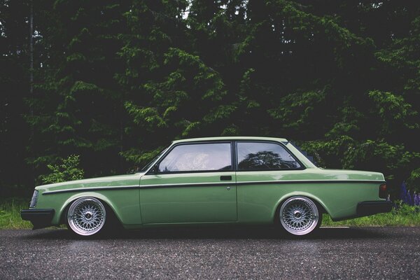 Green retro car on a background of trees