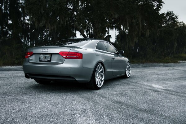 Audi S5 plateado contra madera