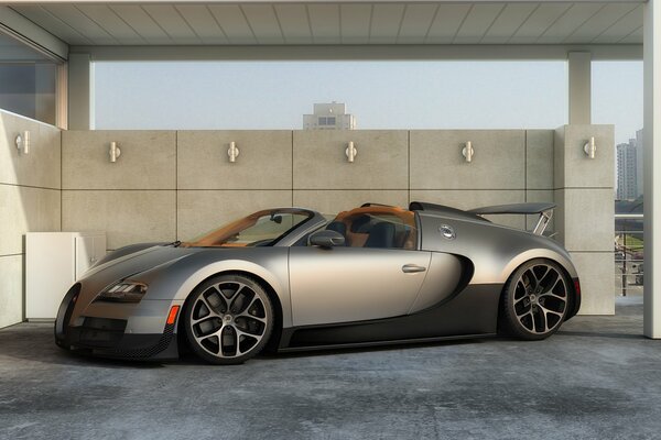 Art superdeportivo Bugatti Veyron