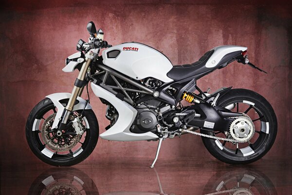 Moto blanche ducati monster 1100 evo