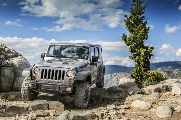 Rangler OFFROAD Simulator in der Natur