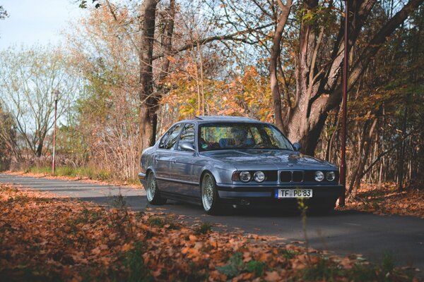 Coche BMW en la carretera de otoño
