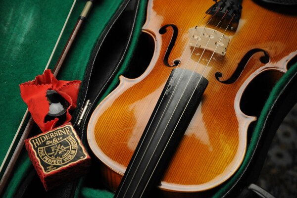 Strumento musicale - violino in custodia