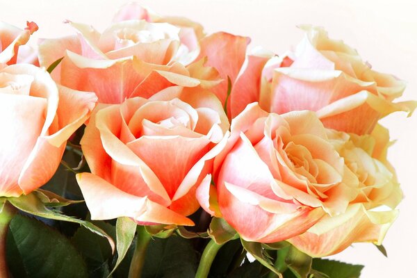 Mazzo di rose color carota