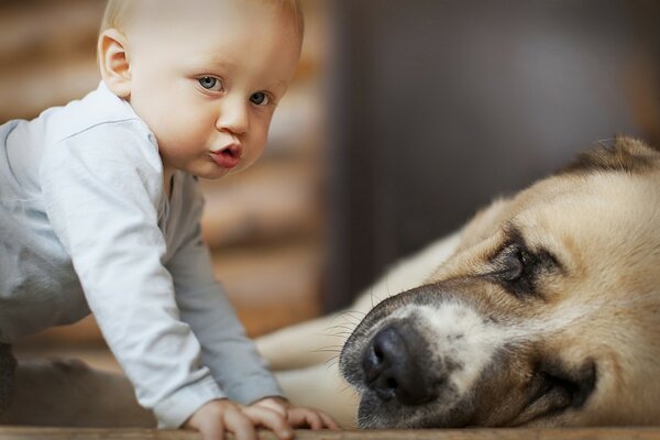 Un niño pequeño con un hermoso perro