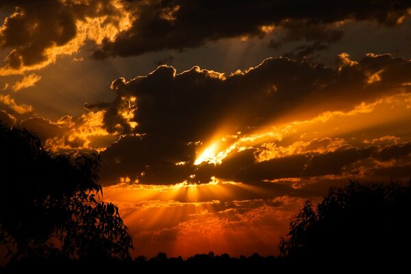 Sunset in the clouds and the forest quietly falls asleep