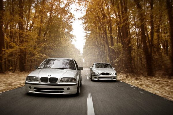 Bmw roule sur la piste d automne à la vitesse de