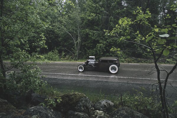 Un hermoso coche viaja por el bosque