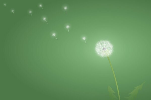 Löwenzahn auf grünem Hintergrund, Minimalismus