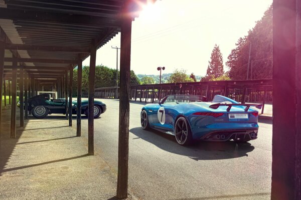 Jaguars sur piste sportive et parking