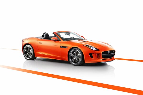 Vecteur, Jaguar rouge, Jaguar orange